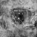 NGC 2239 - рассеянное скопление звёзд. Описание NGC 2239:, Объект глубокого космоса в созвездии Единорог