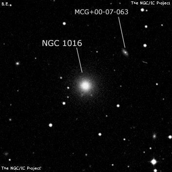 NGC 1016 - эллиптическая галактика. Описание NGC 1016:, Галактика в созвездии Кит