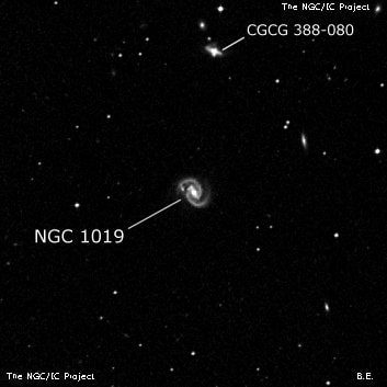 NGC 1019 - спиральная галактика с баром. Описание NGC 1019:, Галактика в созвездии Кит