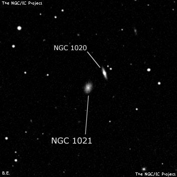 NGC 1021 - галактика. Описание NGC 1021:, Галактика в созвездии Кит