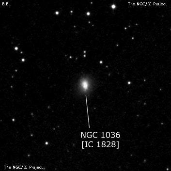 NGC 1036 - галактика. Описание NGC 1036:, Галактика в созвездии Овен