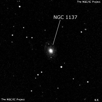 NGC 1137 - спиральная галактика. Описание NGC 1137:, Галактика в созвездии Кит