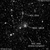 NGC 1814 - рассеянное скопление звёзд. Описание NGC 1814:, Комплекс туманностей в созвездии Золотая Рыба