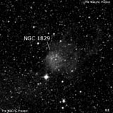 NGC 1829 - рассеянное скопление звёзд. Описание NGC 1829:, Комплекс туманностей в созвездии Золотая Рыба