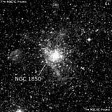 NGC 1850 - рассеянное скопление звёзд. Описание NGC 1850:, Шаровое скопление в созвездии Золотая Рыба