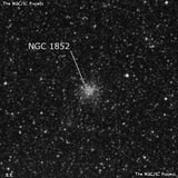 NGC 1852 - рассеянное скопление звёзд. Описание NGC 1852:, Шаровое скопление в созвездии Золотая Рыба