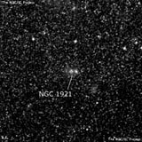 NGC 1921 - туманность. Описание NGC 1921:, Рассеянное скопление в созвездии Золотая Рыба