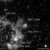 NGC 1929 - туманность. Описание NGC 1929:, Рассеянное скопление в созвездии Золотая Рыба