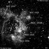 NGC 1934 - туманность. Описание NGC 1934:, Комплекс туманностей в созвездии Золотая Рыба