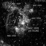NGC 1935 - туманность. Описание NGC 1935:, Область H II в созвездии Золотая Рыба