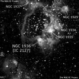 NGC 1936 - туманность. Описание NGC 1936:, Область H II в созвездии Золотая Рыба