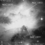 NGC 1977 - туманность. Описание NGC 1977:, Комплекс туманностей в созвездии Орион