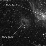 NGC 2020 - туманность. Описание NGC 2020:, Область H II в созвездии Золотая Рыба