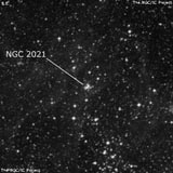 NGC 2021 - рассеянное скопление звёзд. Описание NGC 2021:, Рассеянное скопление в созвездии Золотая Рыба