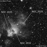 NGC 2029 - туманность. Описание NGC 2029:, Рассеянное скопление в созвездии Золотая Рыба
