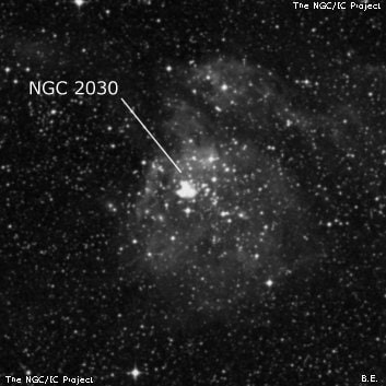 NGC 2030 - туманность. Описание NGC 2030:, Область H II в созвездии Золотая Рыба