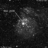 NGC 2030 - туманность. Описание NGC 2030:, Область H II в созвездии Золотая Рыба