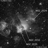NGC 2032 - туманность. Описание NGC 2032:, Область H II в созвездии Золотая Рыба