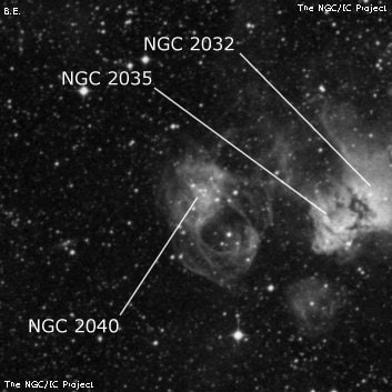 NGC 2040 - туманность. Описание NGC 2040:, Комплекс туманностей в созвездии Золотая Рыба