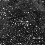 NGC 2050 - рассеянное скопление звёзд. Описание NGC 2050:, Объект глубокого космоса в созвездии Золотая Рыба