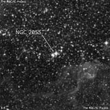 NGC 2055 - рассеянное скопление звёзд. Описание NGC 2055:, Объект глубокого космоса в созвездии Золотая Рыба