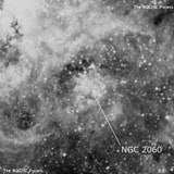 NGC 2060 - остаток взрыва сверхновой. Описание NGC 2060:, Остаток сверхновой в созвездии Золотая Рыба