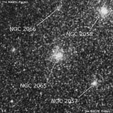 NGC 2065 - рассеянное скопление звёзд. Описание NGC 2065:, Рассеянное скопление в созвездии Столовая Гора