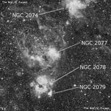 NGC 2077 - туманность. Описание NGC 2077:, Комплекс туманностей в созвездии Золотая Рыба