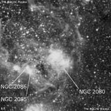 NGC 2080 - туманность. Описание NGC 2080:, Область H II в созвездии Золотая Рыба