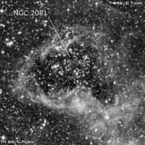 NGC 2081 - рассеянное скопление звёзд. Описание NGC 2081:, Комплекс туманностей в созвездии Золотая Рыба