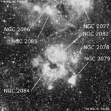 NGC 2083 - туманность. Описание NGC 2083:, Комплекс туманностей в созвездии Золотая Рыба