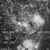 NGC 2085 - туманность. Описание NGC 2085:, Комплекс туманностей в созвездии Золотая Рыба