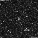 NGC 2116 - рассеянное скопление звёзд. Описание NGC 2116:, Рассеянное скопление в созвездии Золотая Рыба