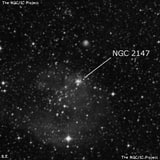 NGC 2147 - рассеянное скопление звёзд. Описание NGC 2147:, Рассеянное скопление в созвездии Золотая Рыба