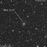 NGC 2177 - рассеянное скопление звёзд. Описание NGC 2177:, Рассеянное скопление в созвездии Золотая Рыба