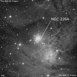 NGC 2264 - рассеянное скопление звёзд. Описание NGC 2264:, Комплекс туманностей в созвездии Единорог