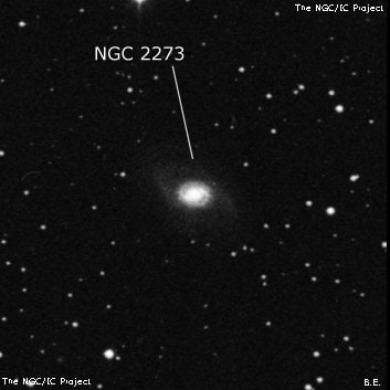 NGC 2273 - спиральная галактика с баром. Описание NGC 2273:, Галактика в созвездии Рысь