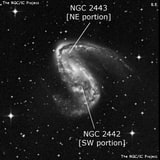 NGC 2442 - спиральная галактика с баром. Описание NGC 2442:, Объект глубокого космоса в созвездии Летучая Рыба