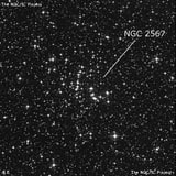 NGC 2567 - рассеянное скопление звёзд. Описание NGC 2567:, Рассеянное скопление в созвездии Корма