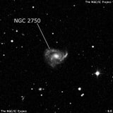 NGC 2750 - спиральная галактика. Описание NGC 2750:, Галактика в созвездии Рак