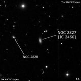 NGC 2827 - спиральная галактика. Описание NGC 2827:, Галактика в созвездии Рысь