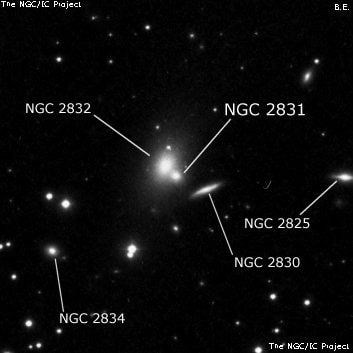 NGC 2831 - эллиптическая галактика. Описание NGC 2831:, Галактика в созвездии Рысь