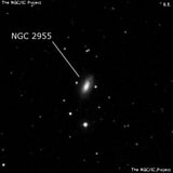 NGC 2955 - спиральная галактика. Описание NGC 2955:, Галактика в созвездии Малый Лев