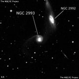 NGC 2993 - спиральная галактика. Описание NGC 2993:, Галактика в созвездии Гидра