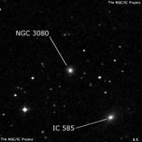 NGC 3080 - спиральная галактика. Описание NGC 3080:, Галактика в созвездии Лев