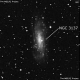 NGC 3137 - спиральная галактика с баром. Описание NGC 3137:, Галактика в созвездии Насос