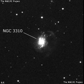 NGC 3310 - спиральная галактика с баром. Описание NGC 3310:, Галактика в созвездии Большая Медведица