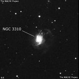 NGC 3310 - спиральная галактика с баром. Описание NGC 3310:, Галактика в созвездии Большая Медведица