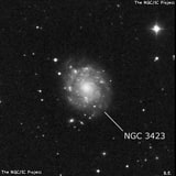 NGC 3423 - спиральная галактика. Описание NGC 3423:, Галактика в созвездии Секстант
