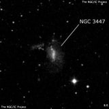 NGC 3447 - спиральная галактика с баром. Описание NGC 3447:, Галактика в созвездии Лев